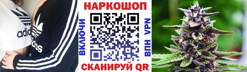 Где купить наркоту Болохово Каннабис  Cocaine  ГАШИШ 