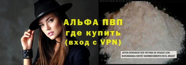 spice Аша